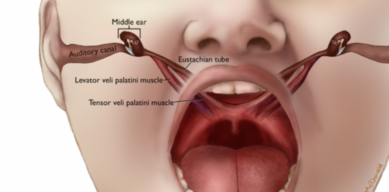 화면 캡처 2025-12-24 153359.png