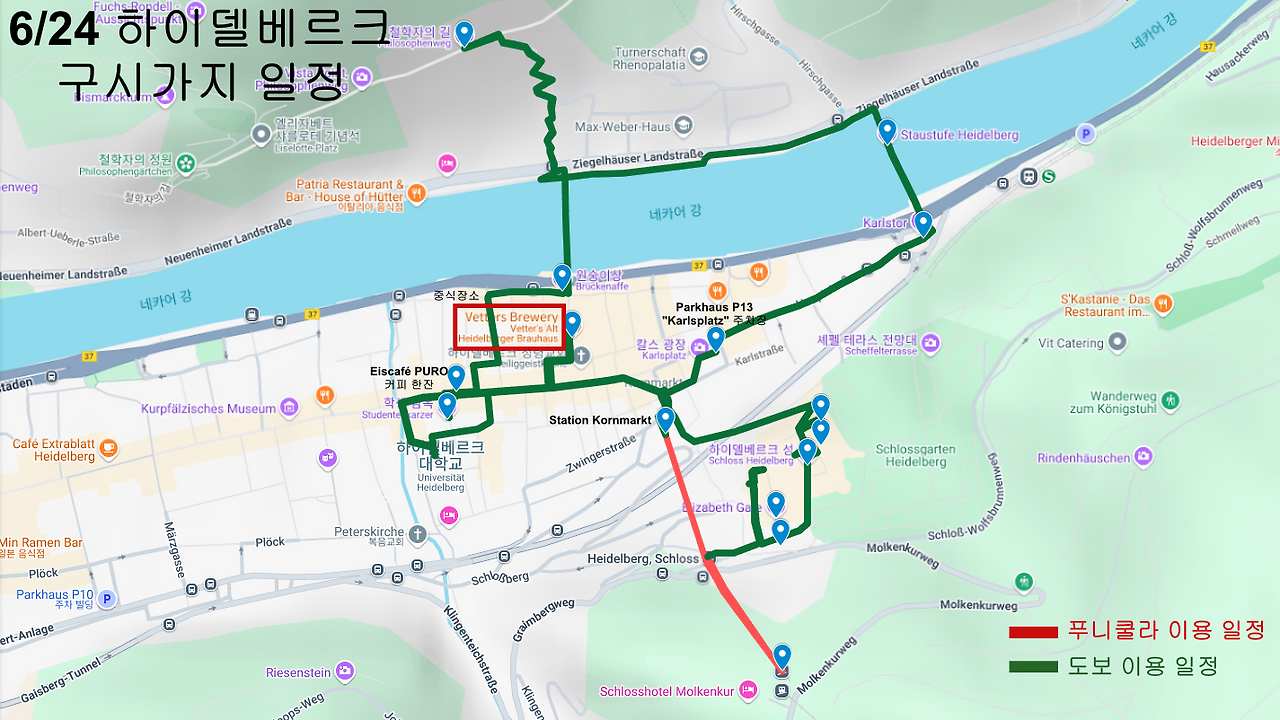 250624 하이델베르크 구시가지 일정.png