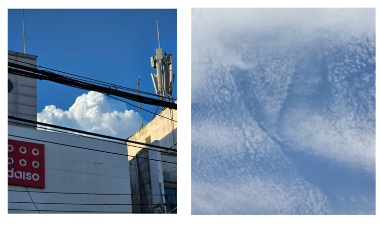 화면 캡처 2025-09-22 124548.png