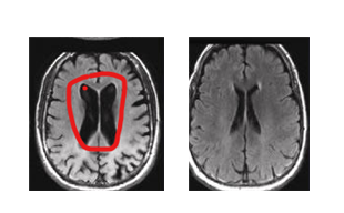 화면 캡처 2025-09-22 122418.png