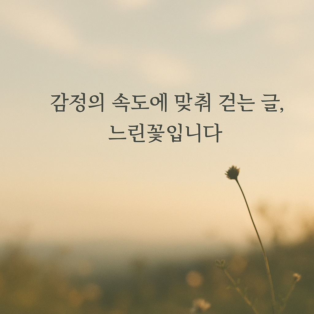 KakaoTalk_20250729_220845110.png