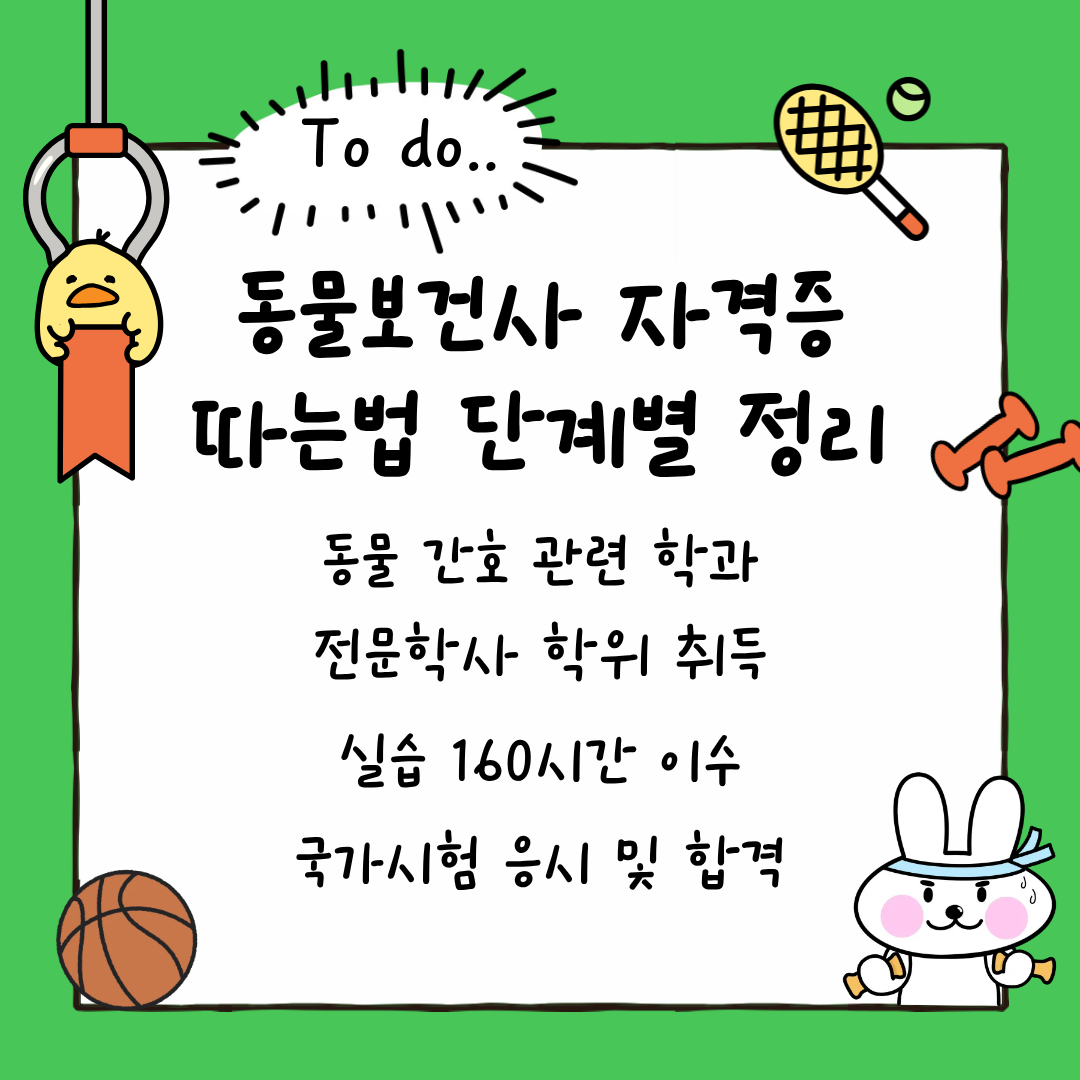 동물보건사 자격증 따는법.png