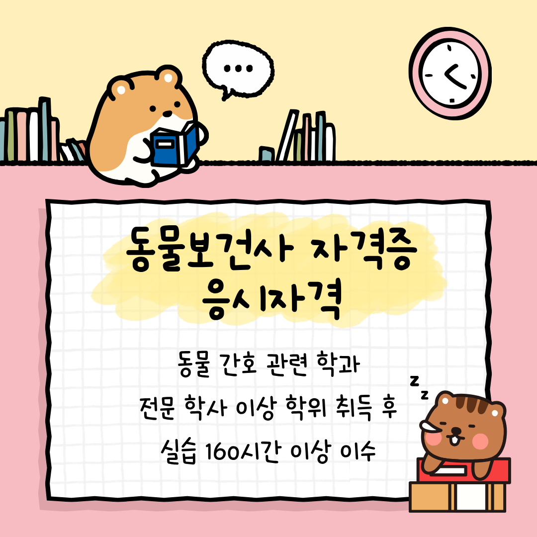 동물보건사 자격증 응시자격.png