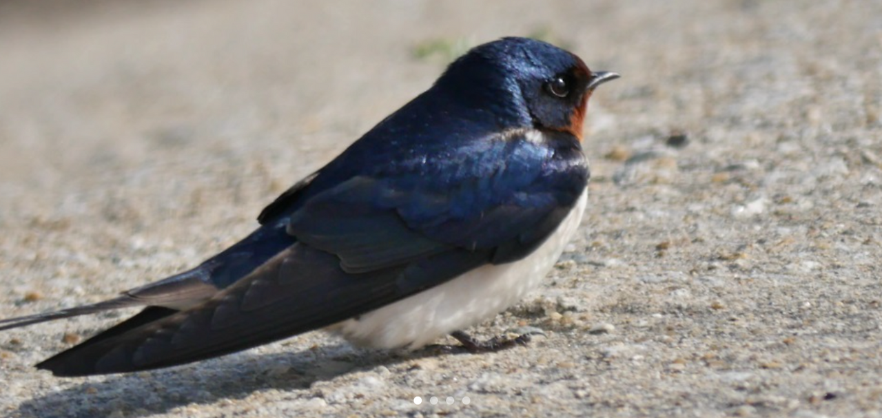 화면 캡처 2025-10-30 154906.png