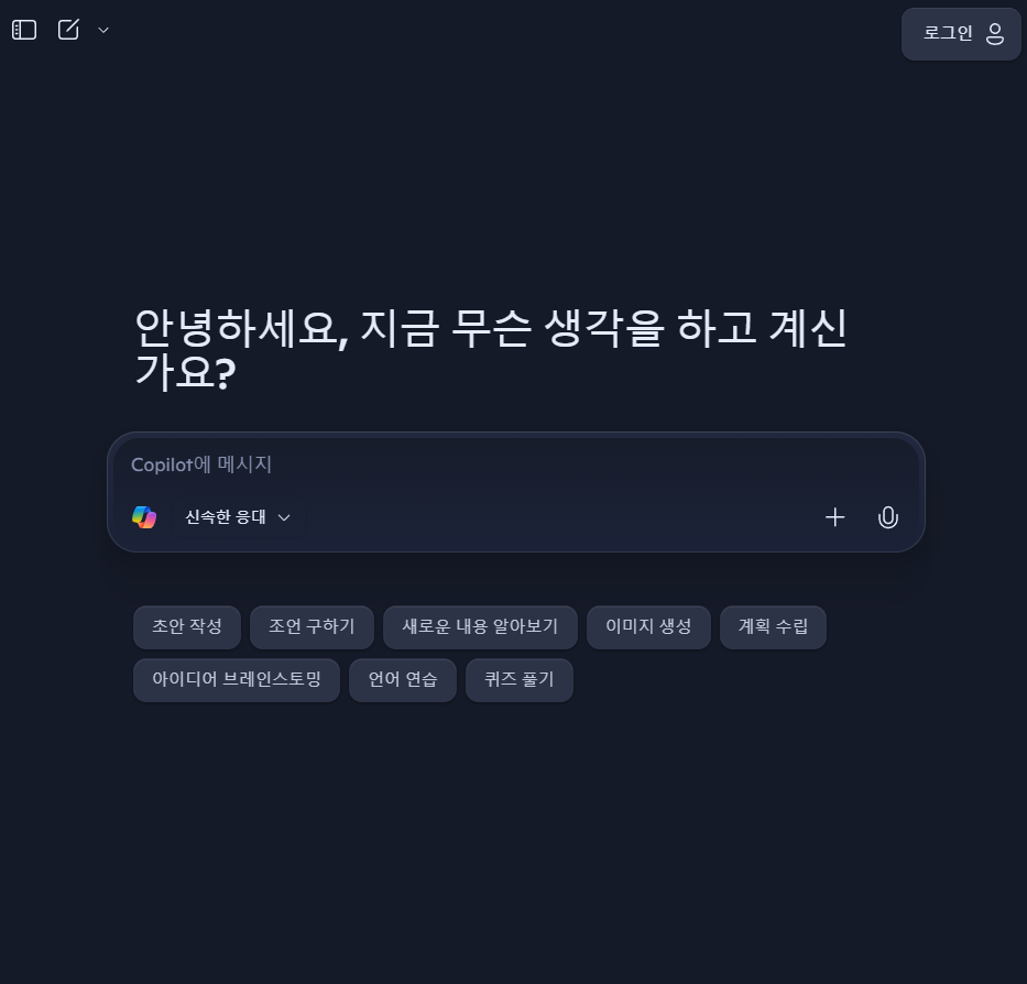 코파일럿.png