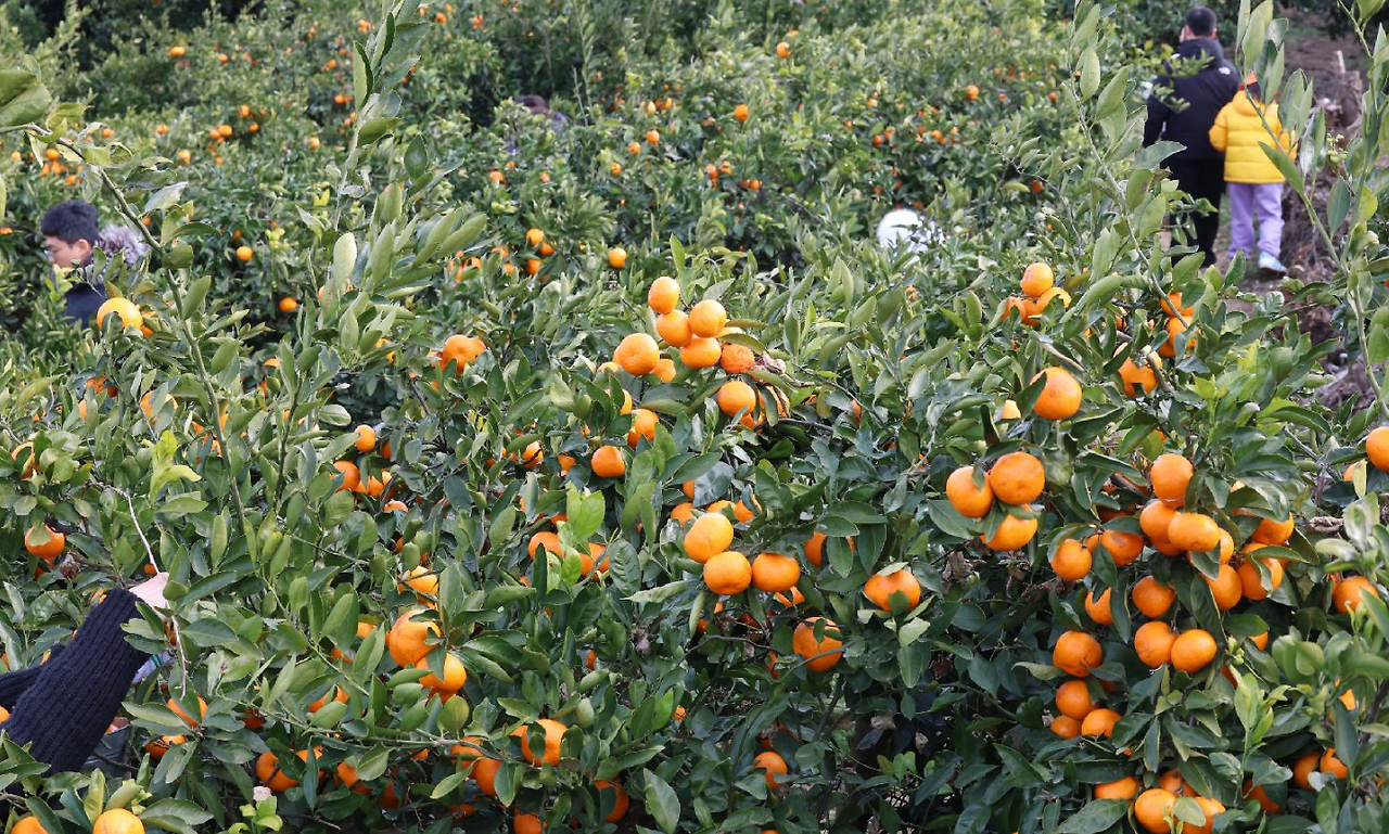 20251007_082620 - 복사본.png