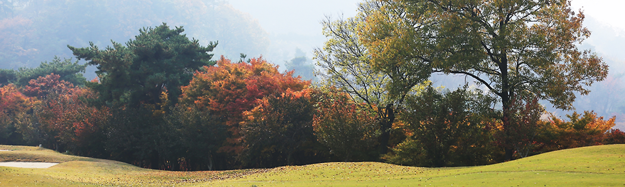 스크린샷 2025-10-02 095515.png