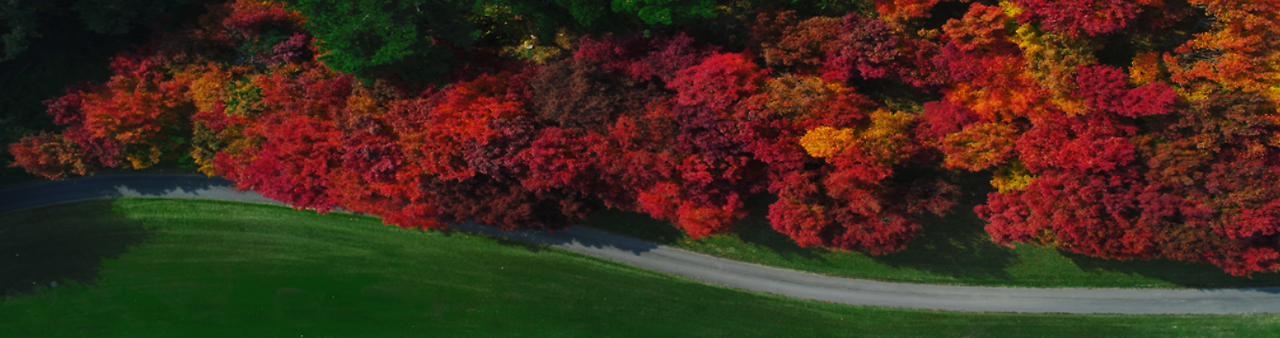 화면 캡처 2025-10-02 101545.png