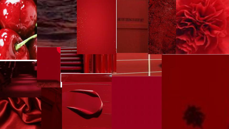 빨강색채집 (1).png