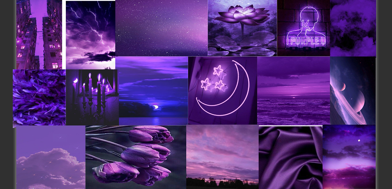 보라색채집 (1).png