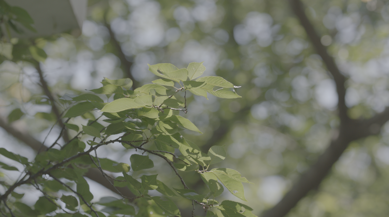 스크린샷 2025-05-28 오후 1.44.03.png