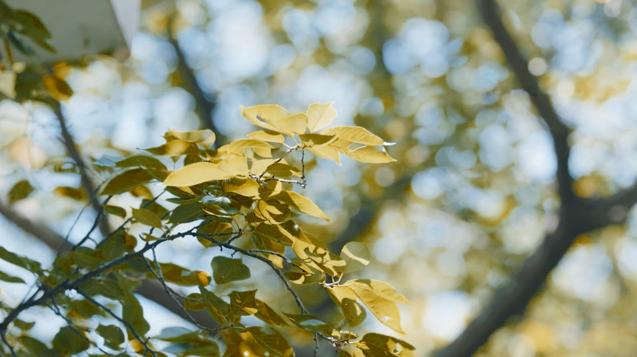 스크린샷 2025-05-28 오후 1.33.28.png