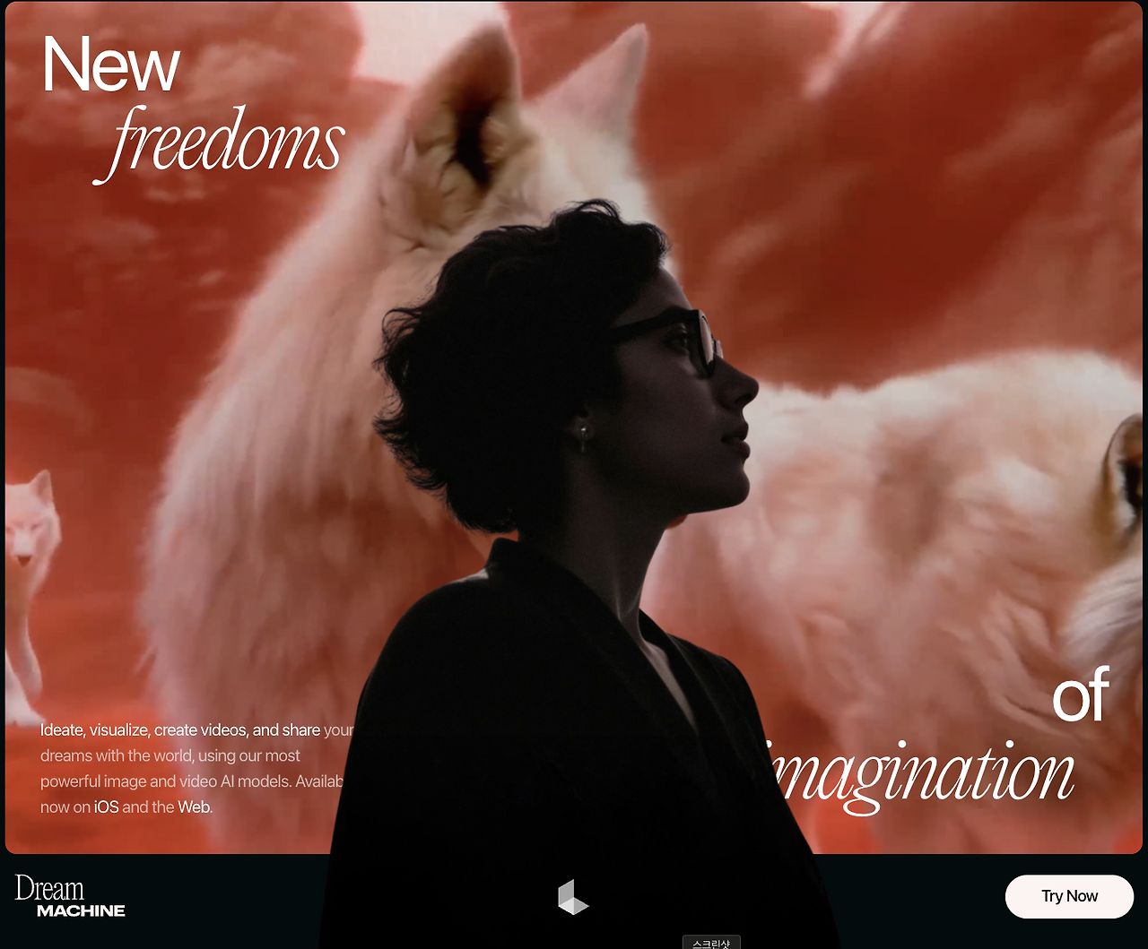 스크린샷 2025-05-16 오후 2.49.22.png