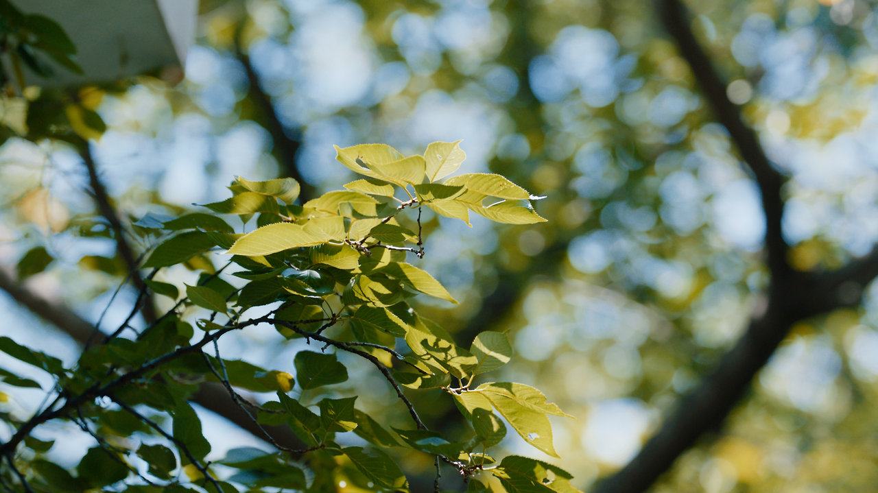 스크린샷 2025-05-28 오후 1.12.49.png