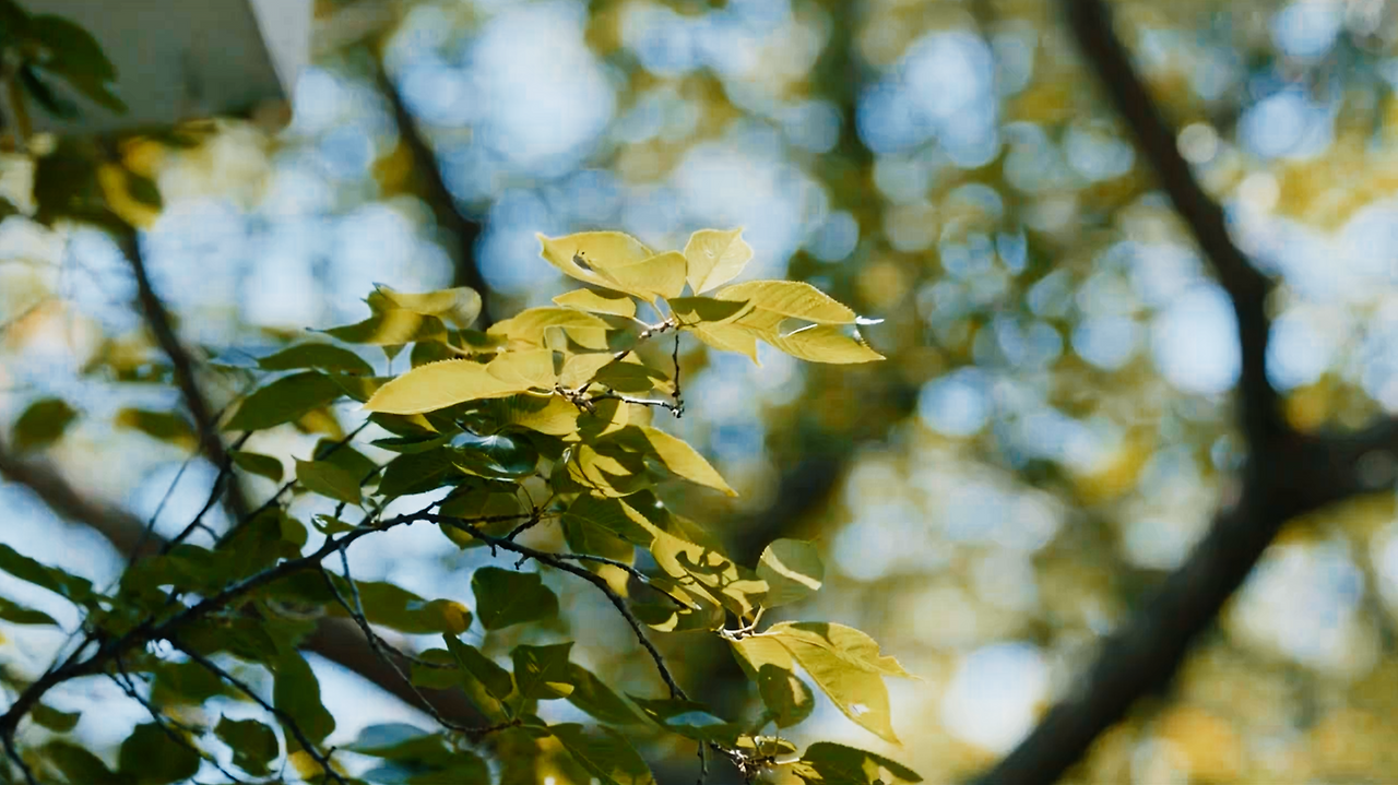 스크린샷 2025-05-28 오후 1.12.47.png