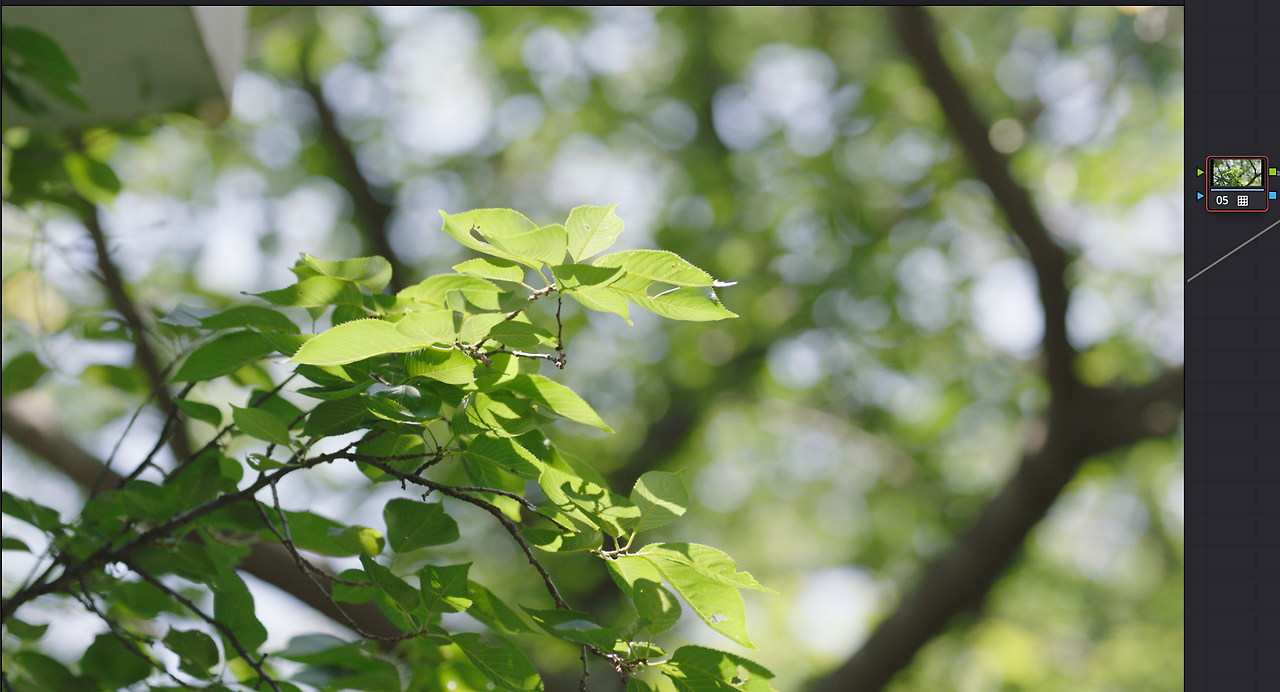 스크린샷 2025-05-28 오후 1.49.16.png