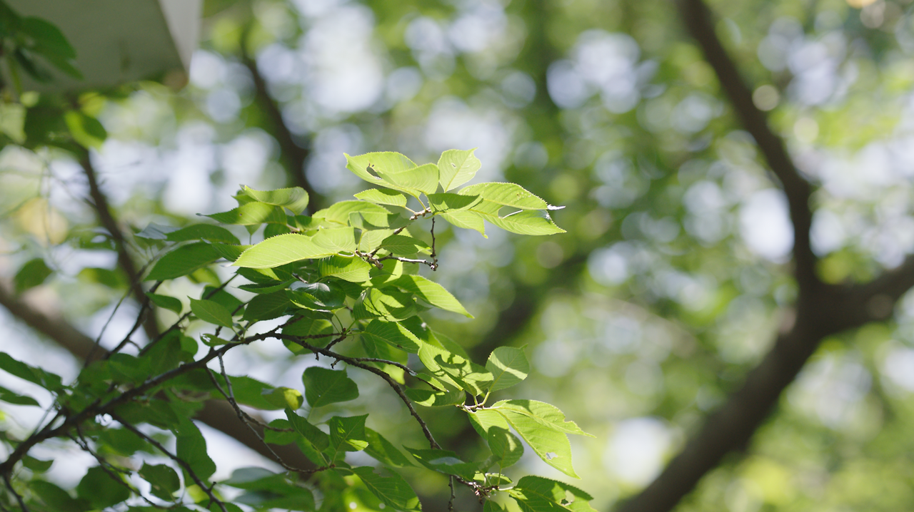 스크린샷 2025-05-28 오후 12.46.56.png