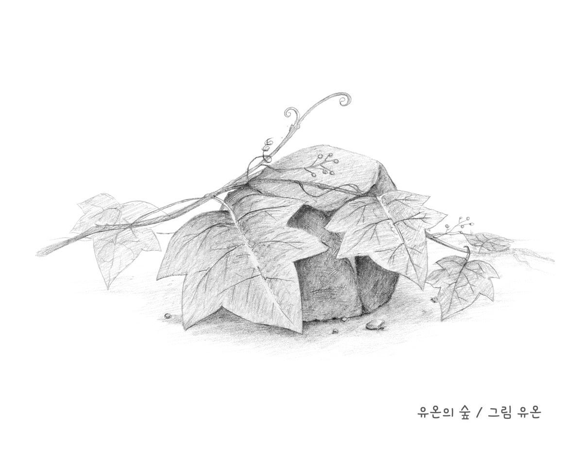 배움의 멈춤의 거리.png