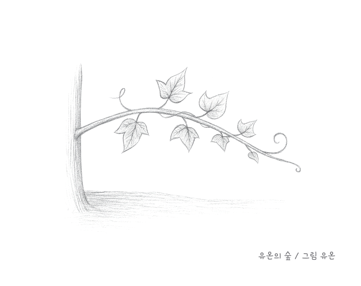 화의 두 얼굴.png