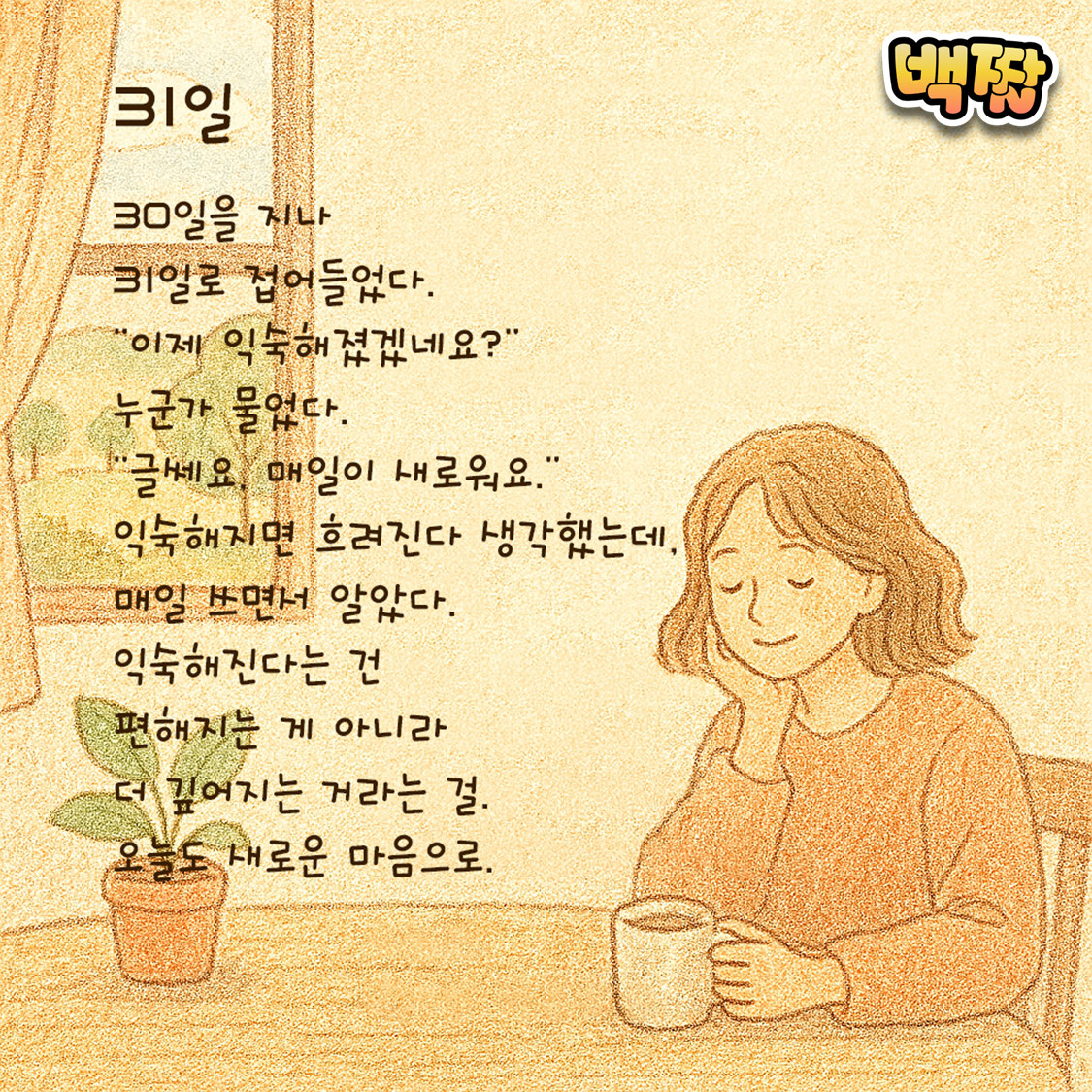 백짤 #031-31일.png
