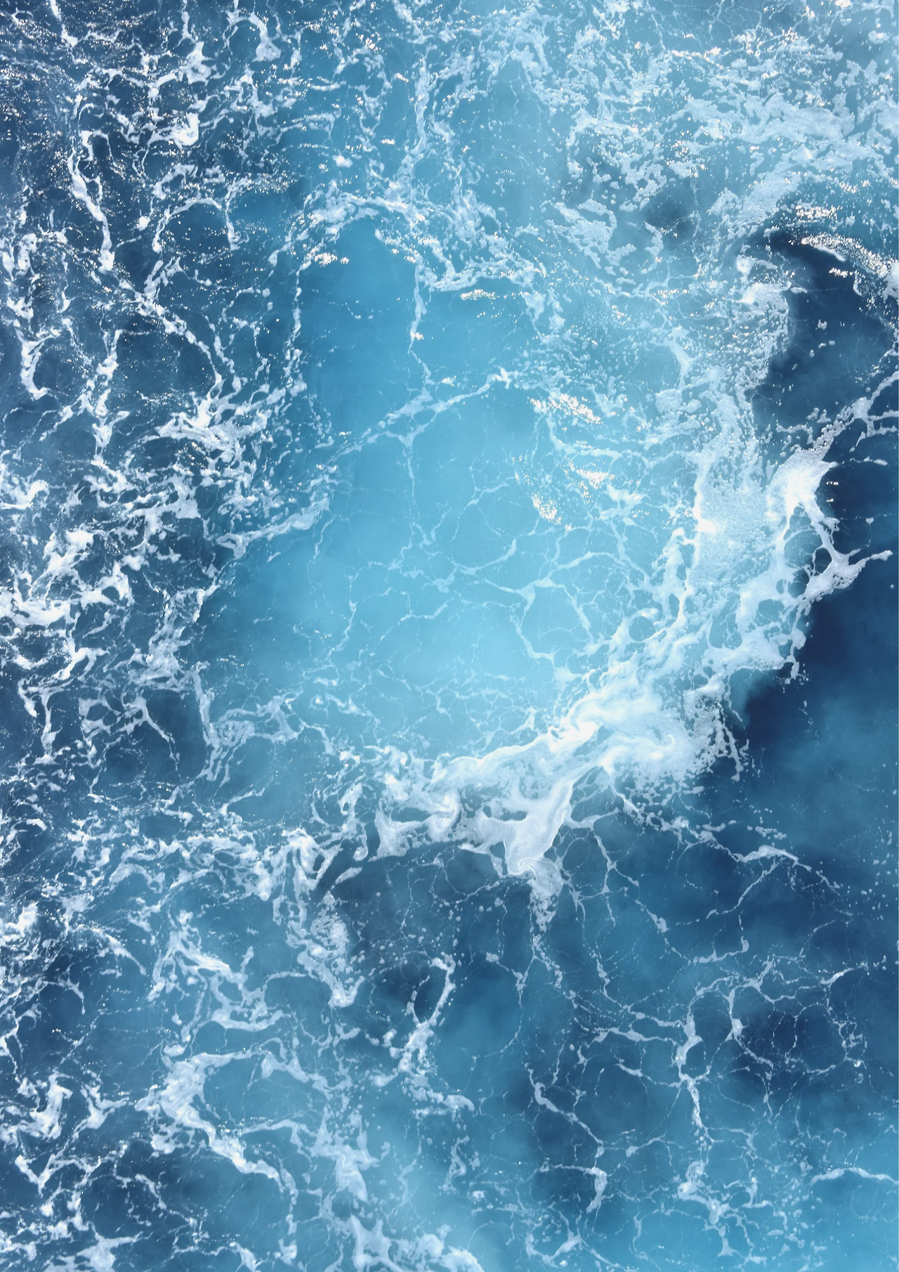 분홍색과 파란색 수영장 여름 포스터.png