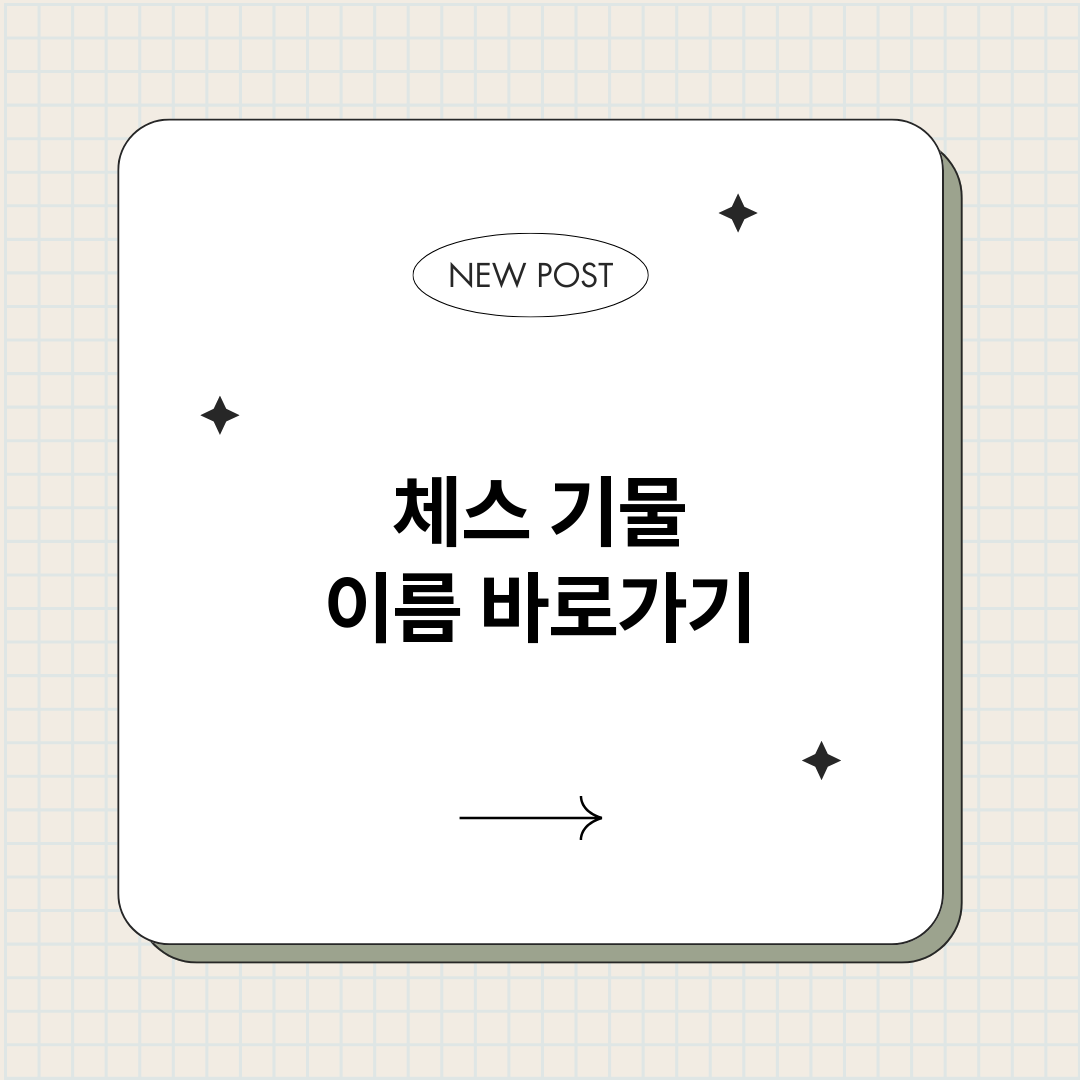 체스기물이름_썸네일.png