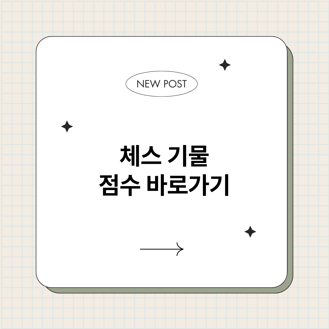 체스기물점수_썸네일.png