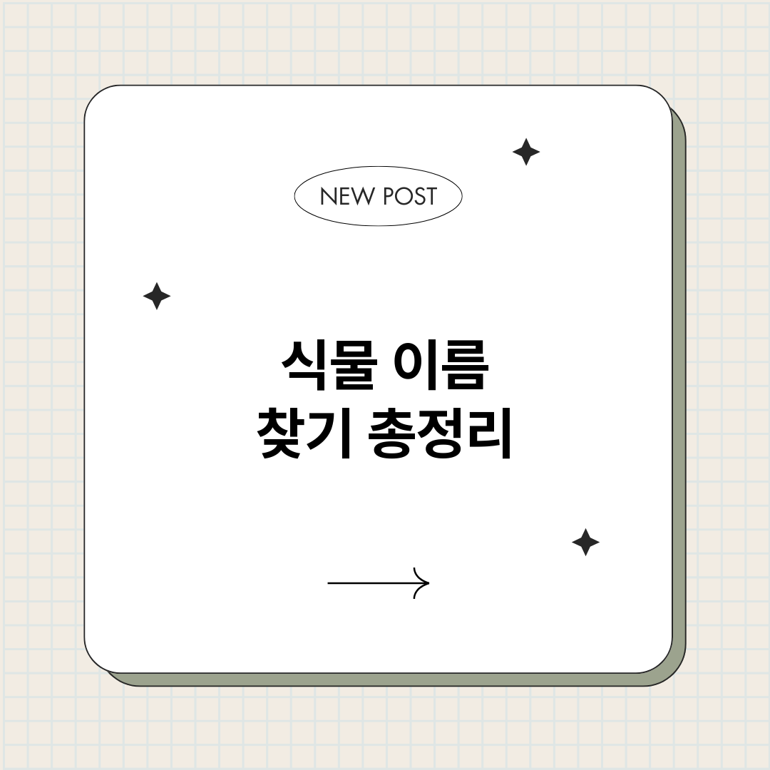 식물이름찾기_썸네일.png