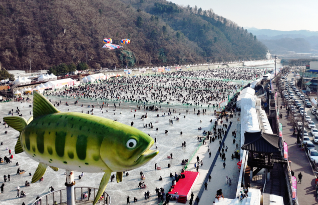 화천 산천어 축제.png
