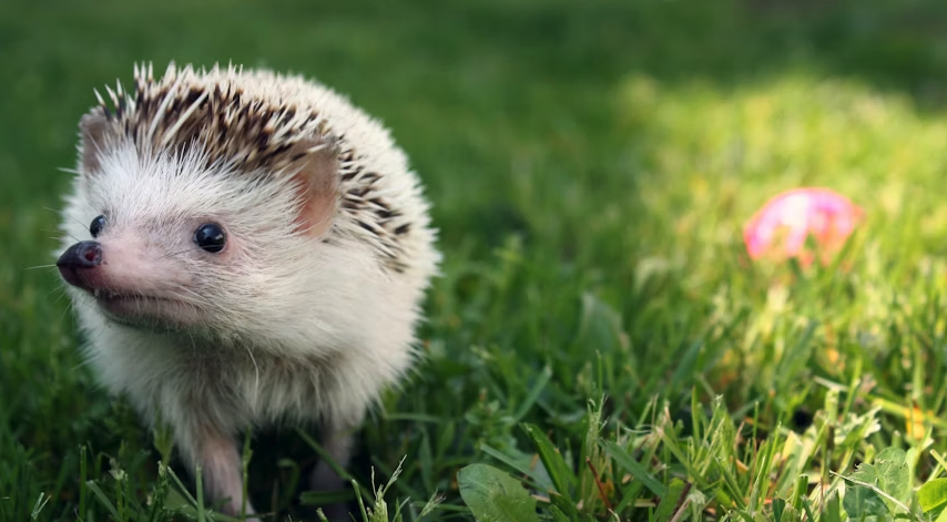 스크린샷 2025-12-11 오후 3.01.37.png