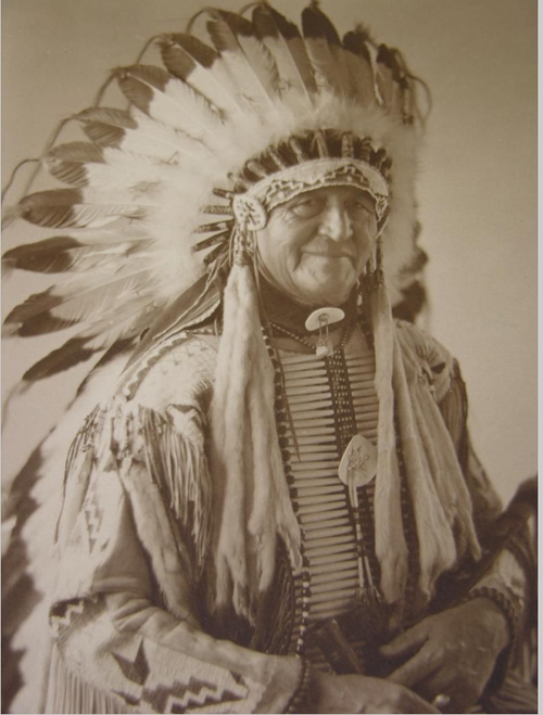 500px-Chief_Luther_Standing_Bear.png