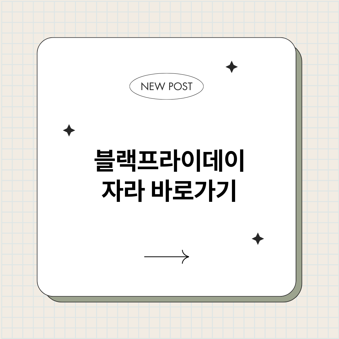 블랙프라이데이자라_썸네일.png