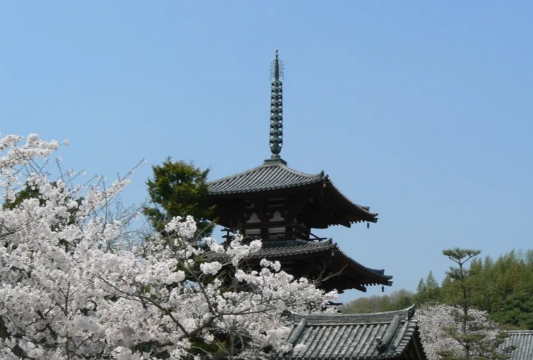 JR 서일본 간사이 패스2.png