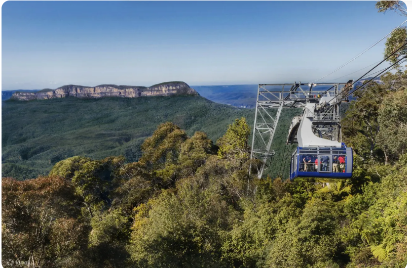 블루마운틴 시닉 월드 티켓3.png