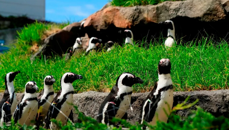 선샤인시티 수족관 입장료 예약 티켓 할인 방법3.png