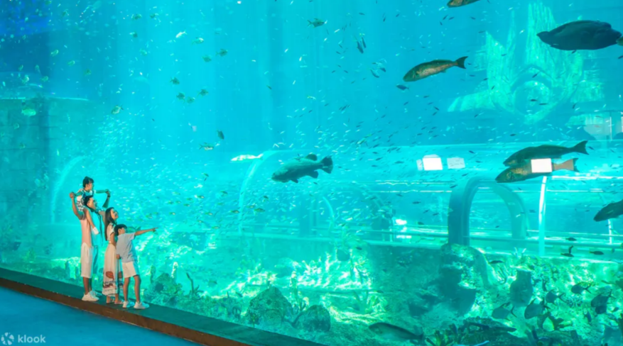 빈원더스 푸꾸옥 입장권 가격 후기 구매 방법3.png