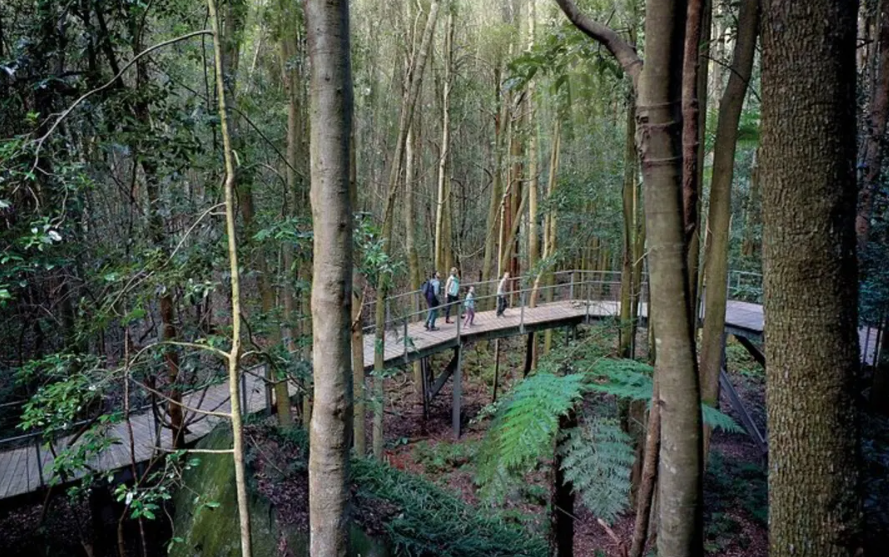 블루마운틴 시닉 월드 티켓.png