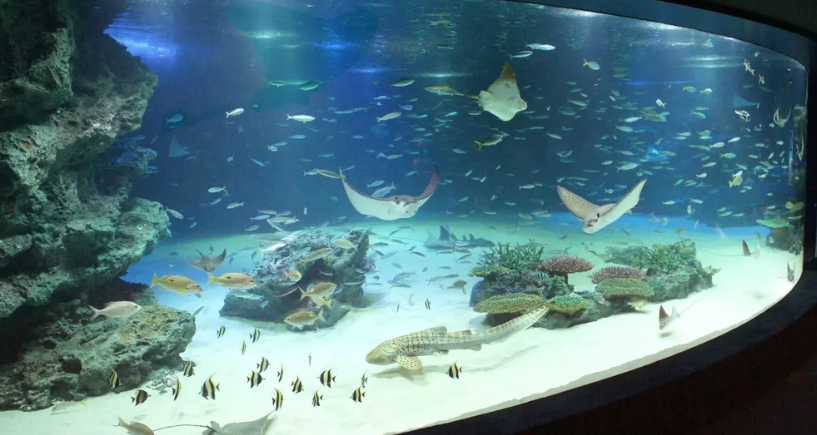 선샤인시티 수족관 입장료 예약 티켓 할인 방법2.png