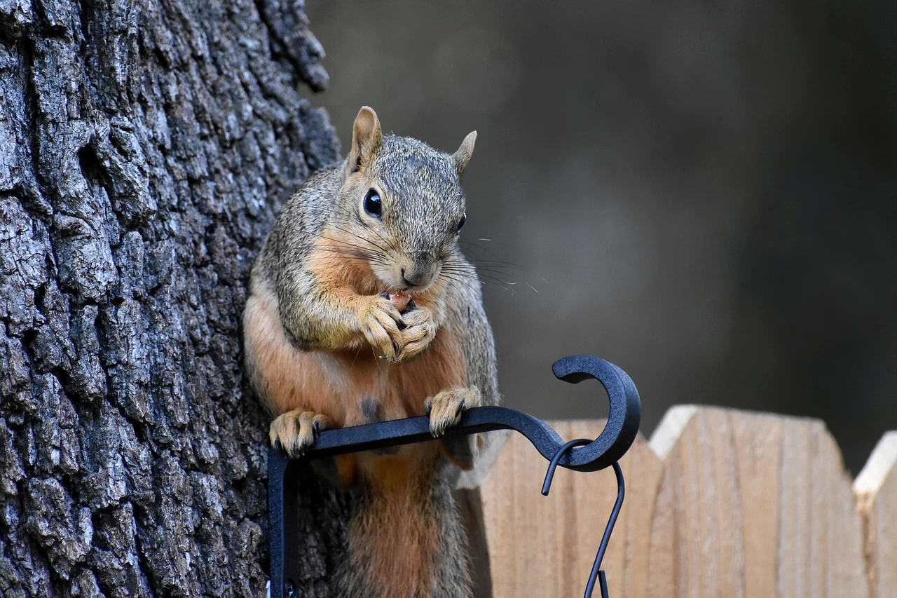 공동인증서 비밀번호 찾기 총정리