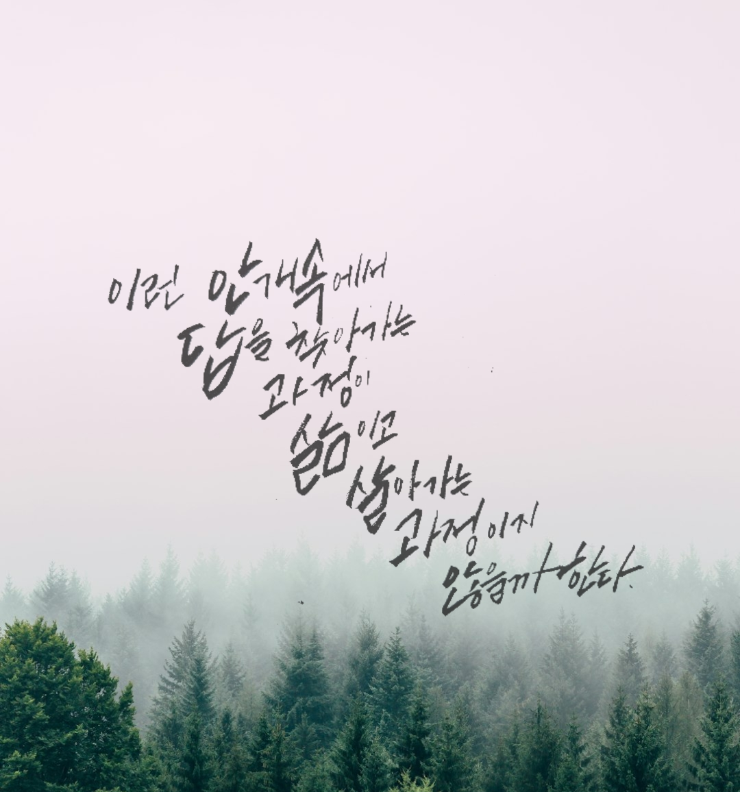 1765279623774 (1).png