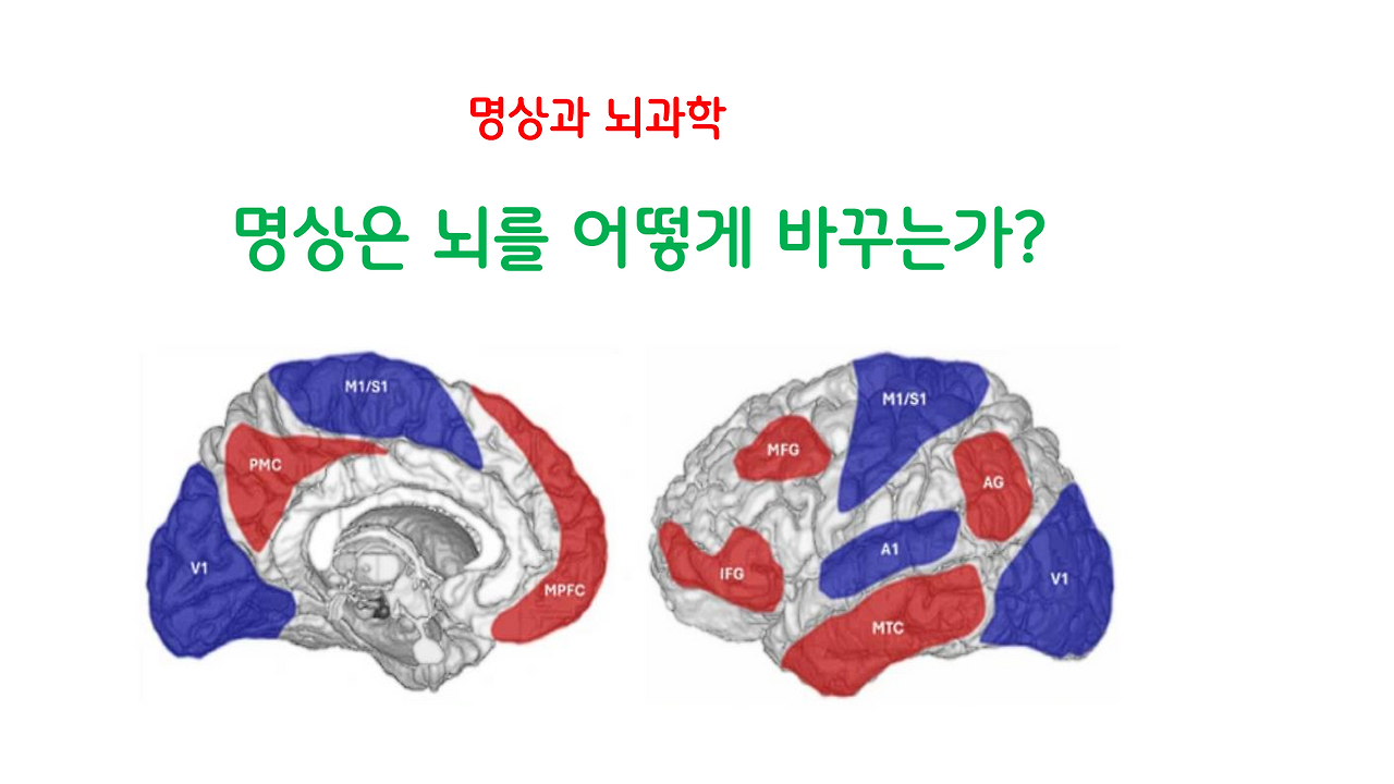 명상과_뇌과학_1.png
