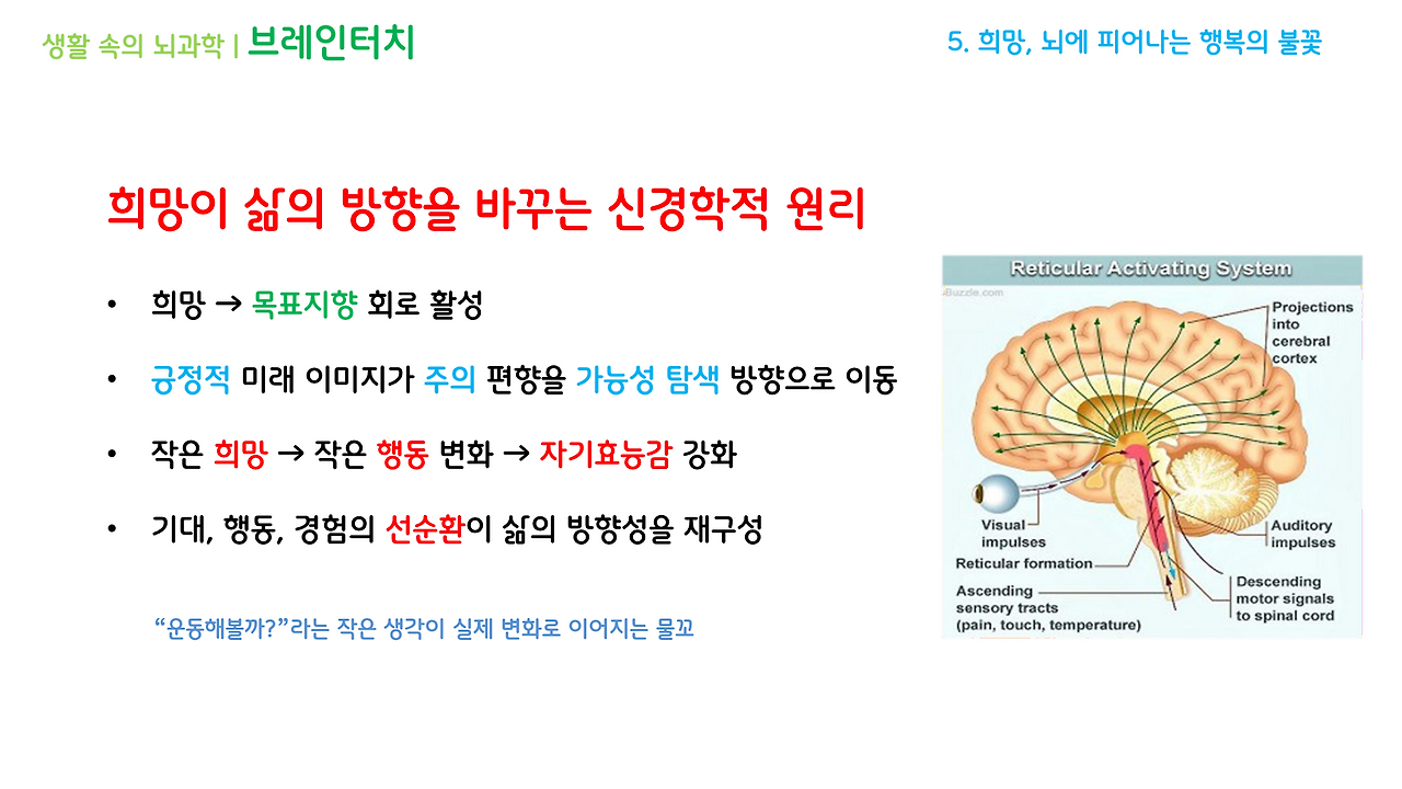 브레인터치_2강(4-6)_브런치용_10.png