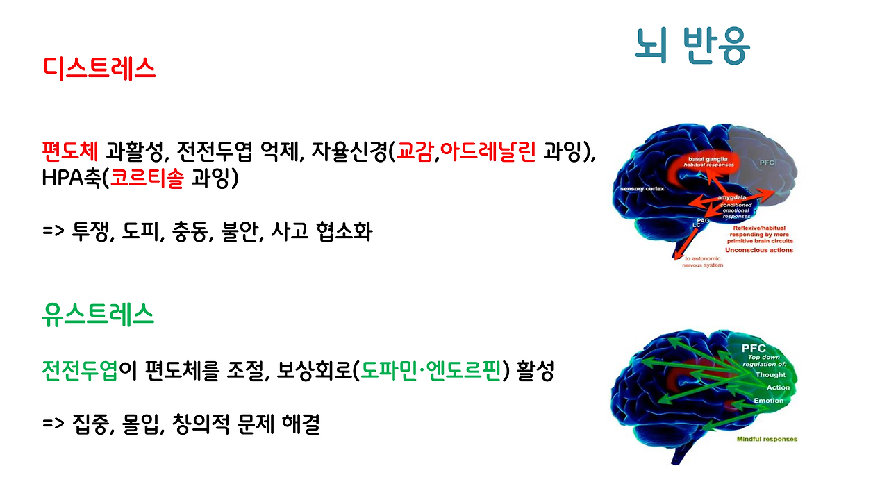 1편_스트레스 _8.png