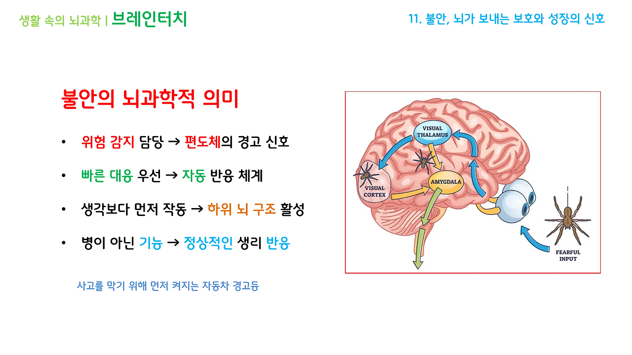브레인터치_4강(10-12)_브런치용_8.png
