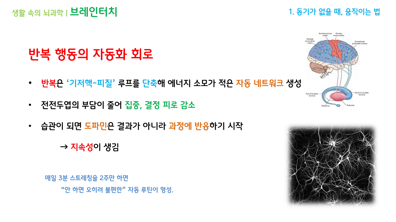 브레인터치_1강(1-3)_브런치용_6.png