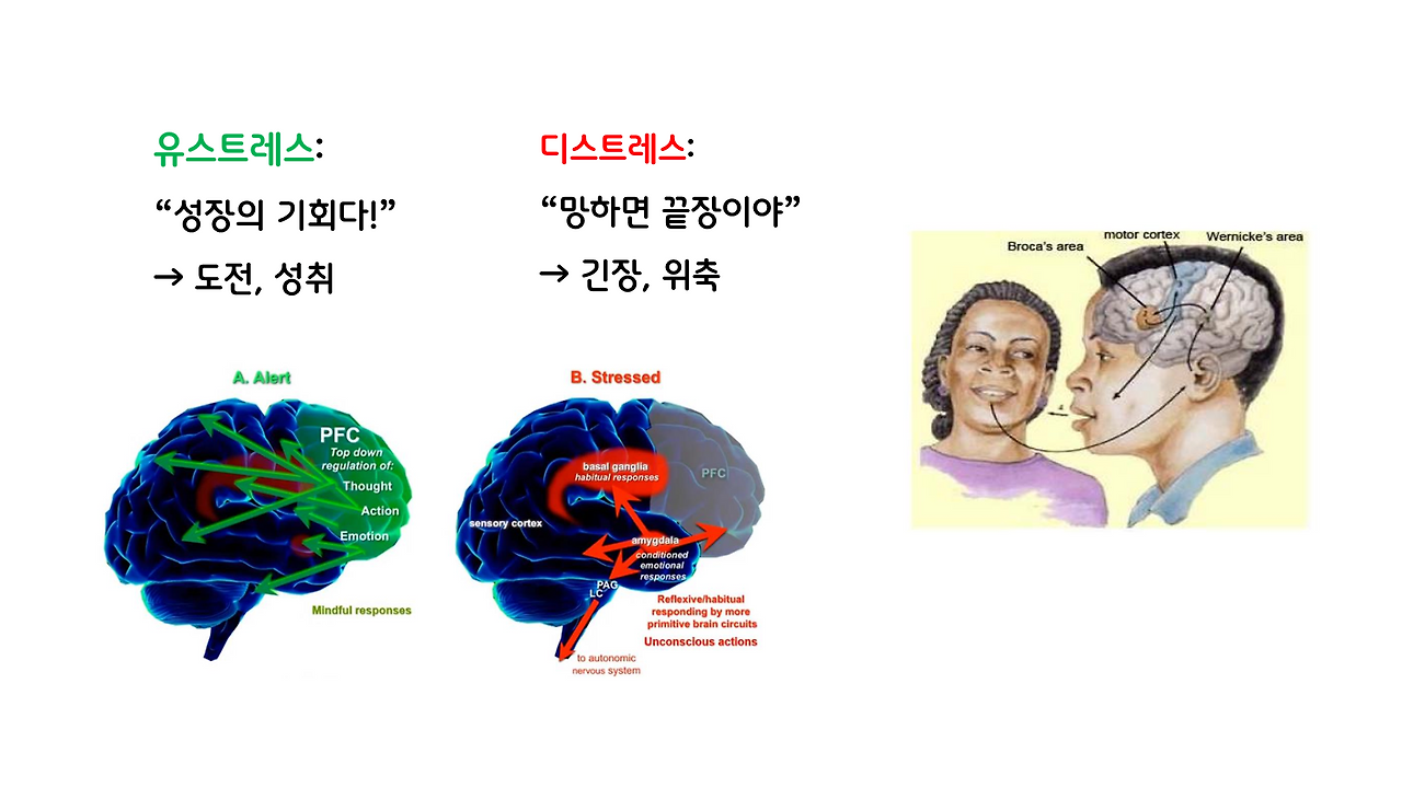 1편_스트레스 _7.png