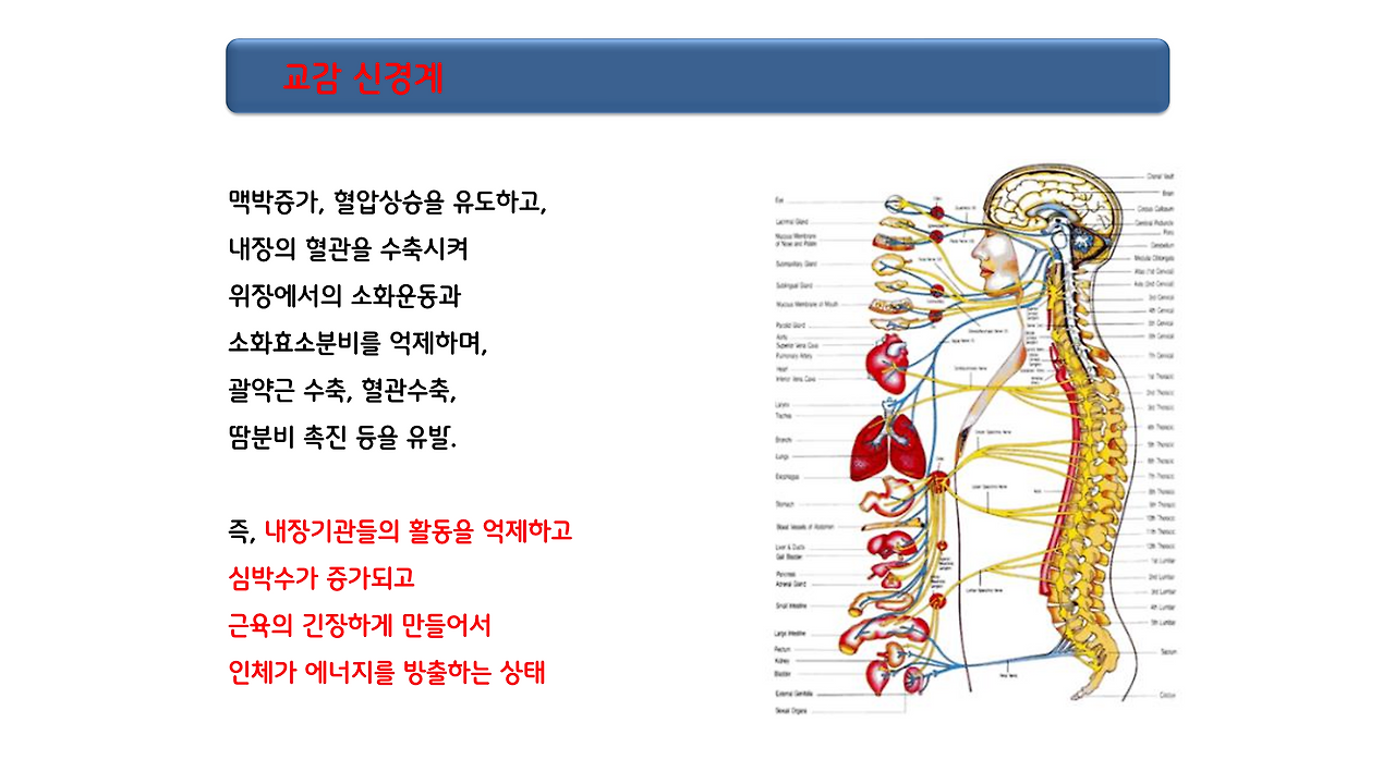 1편_스트레스 _12.png
