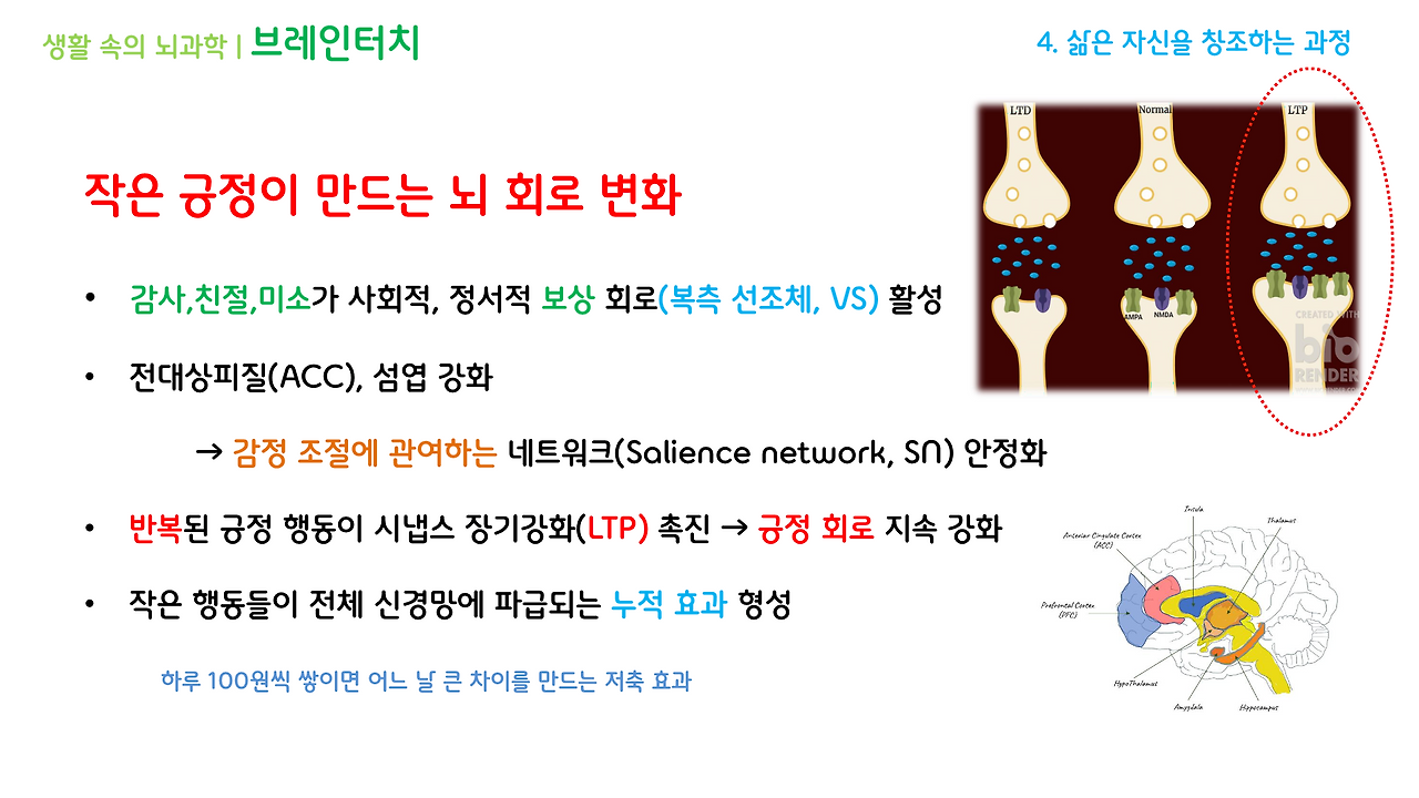 브레인터치_2강(4-6)_브런치용_3.png