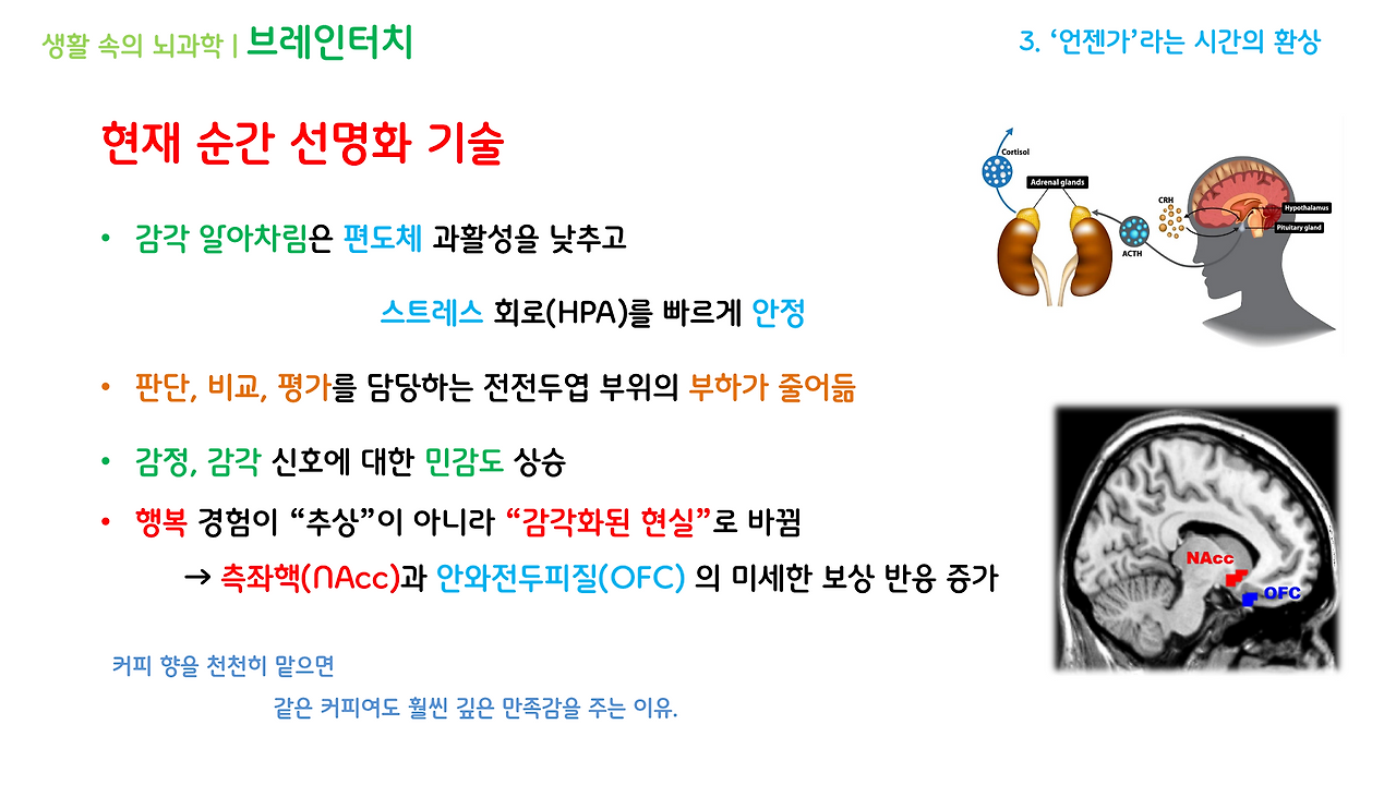 브레인터치_1강(1-3)_브런치용_18.png