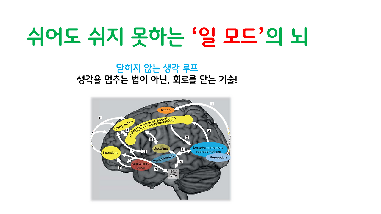 쉬지못하는뇌_브런치용_1.png